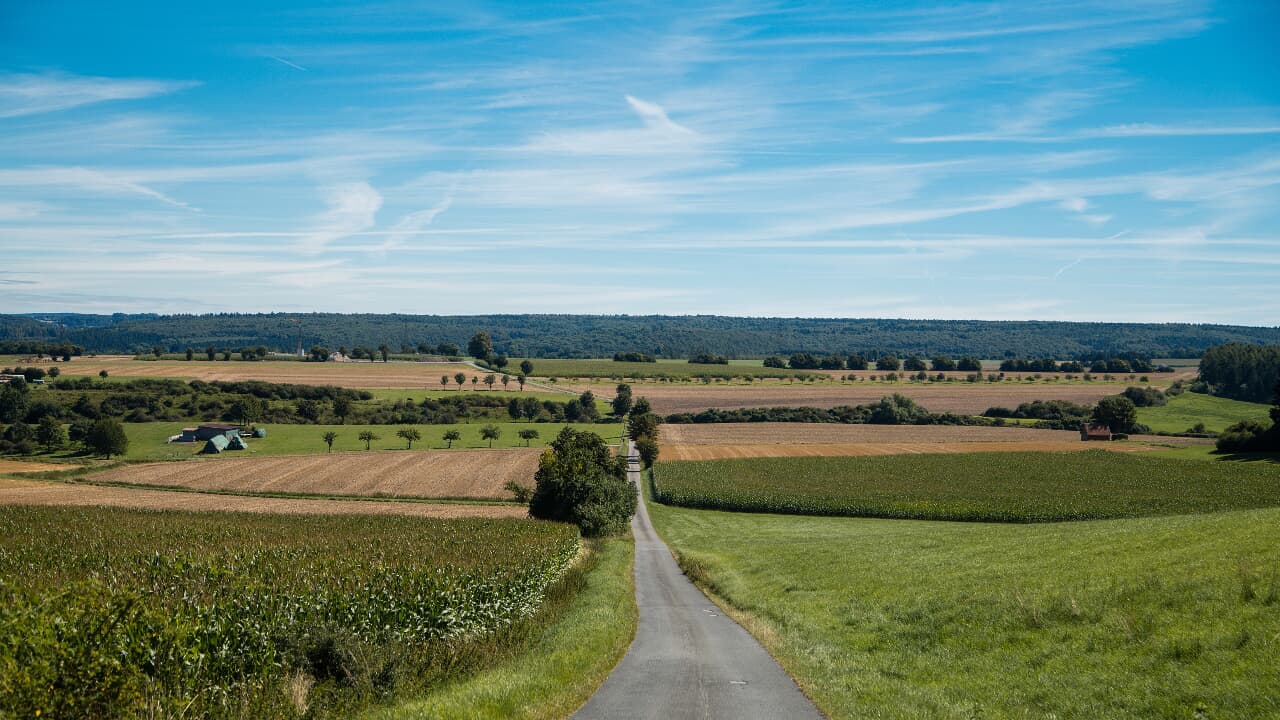 Ottensgrund Weg